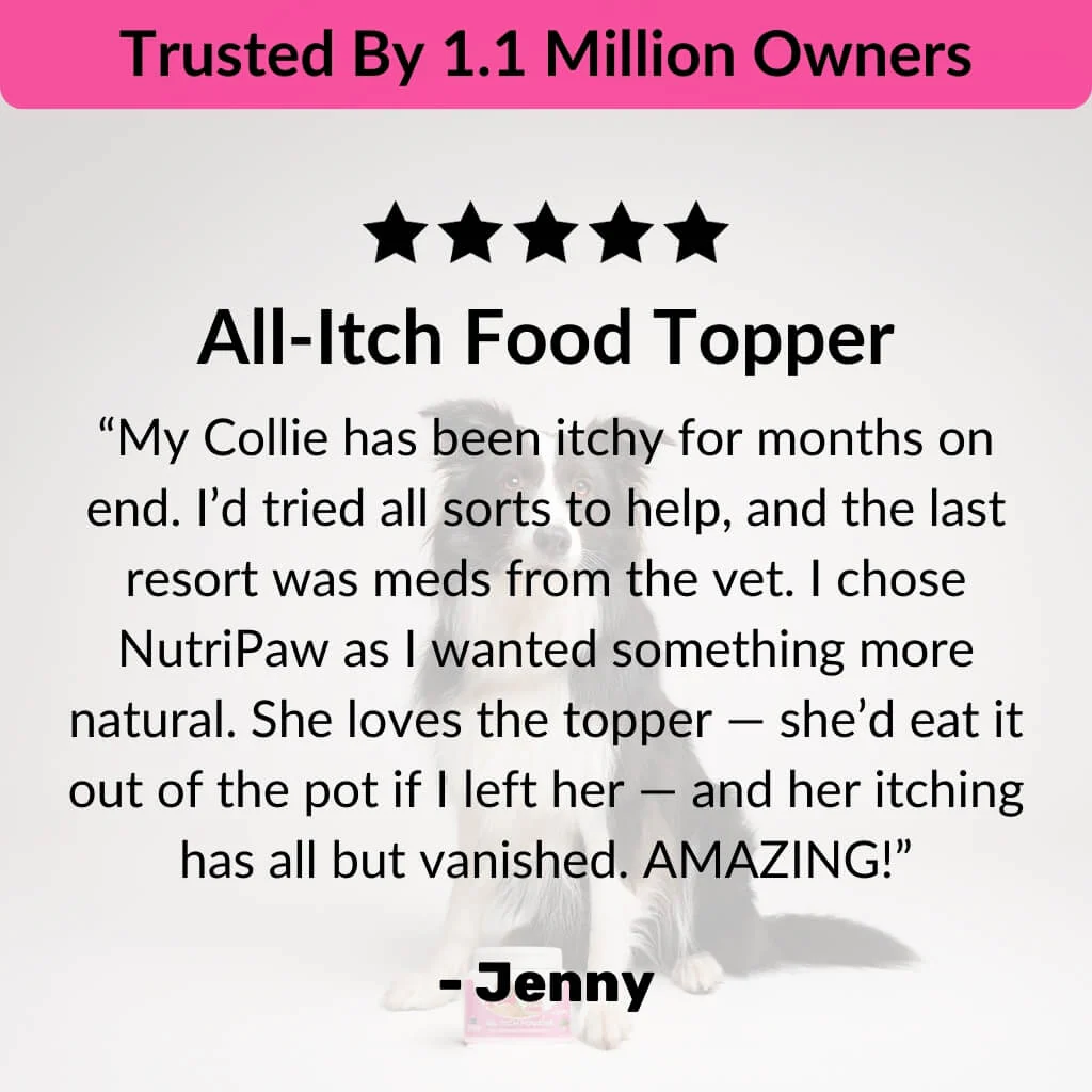 All-Itch Food Topper - Image 7