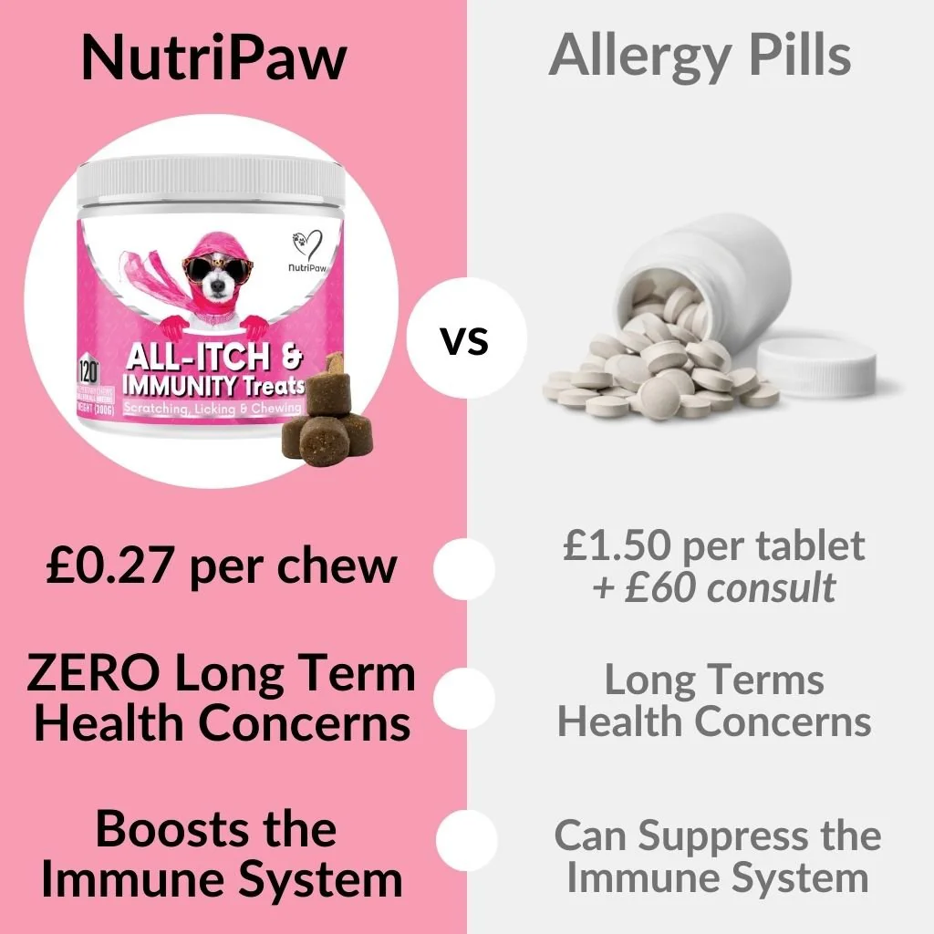 All-Itch & Immunity Treats - Image 7