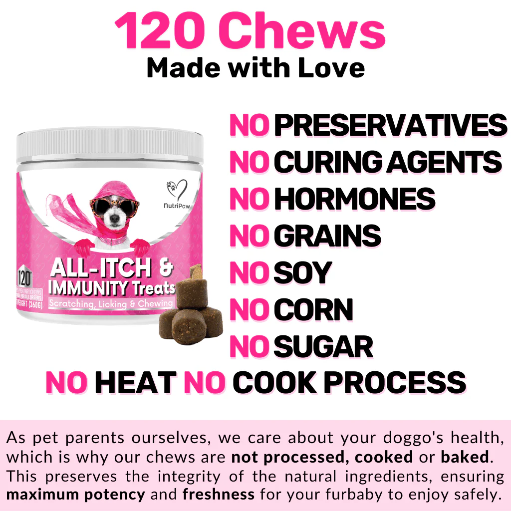 All-Itch & Immunity Treats - Image 11