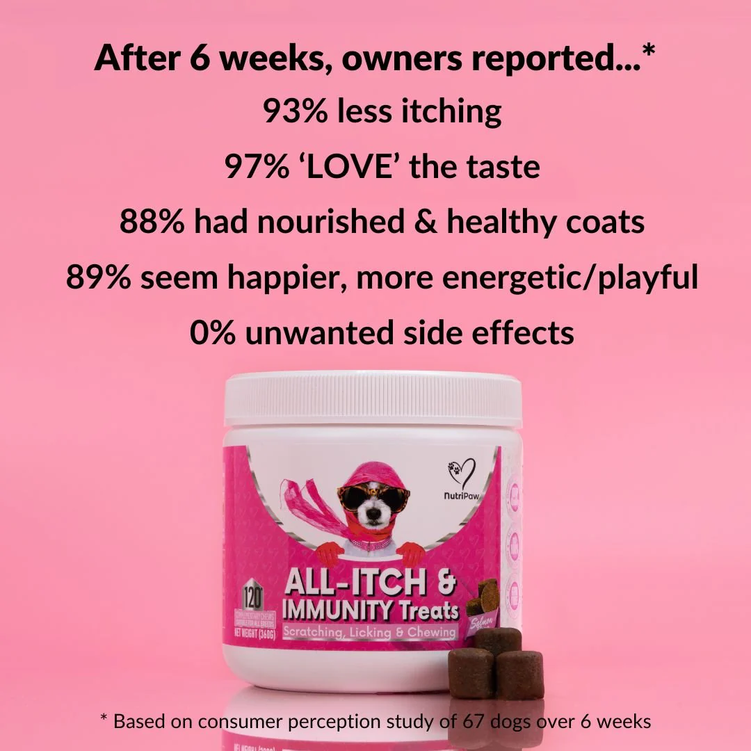 All-Itch & Immunity Treats - Image 5