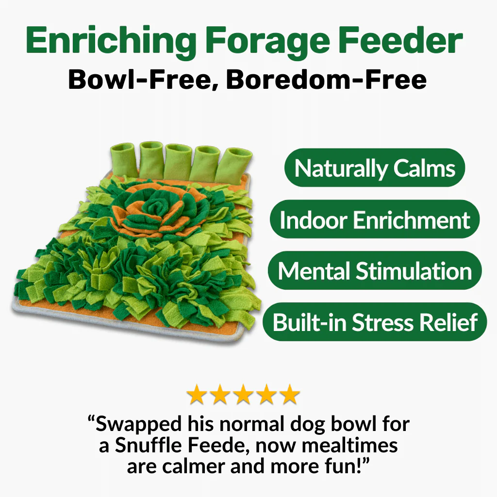 Build Your Calming Kit - Image 5