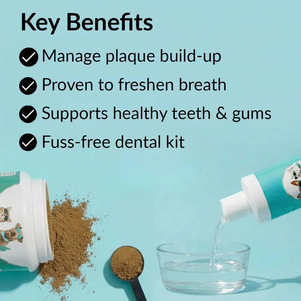 Dental Kit - Image 2