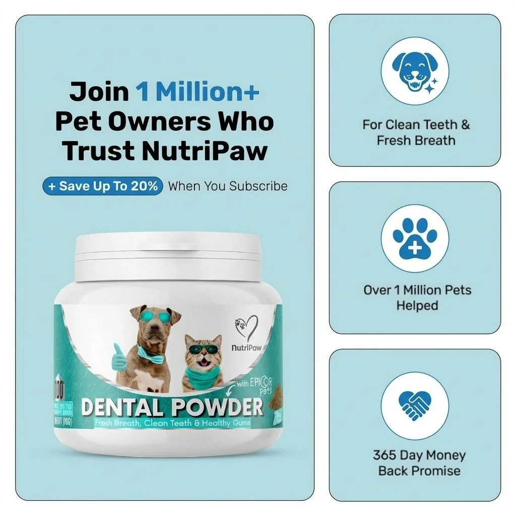 Dental Powder - Image 11