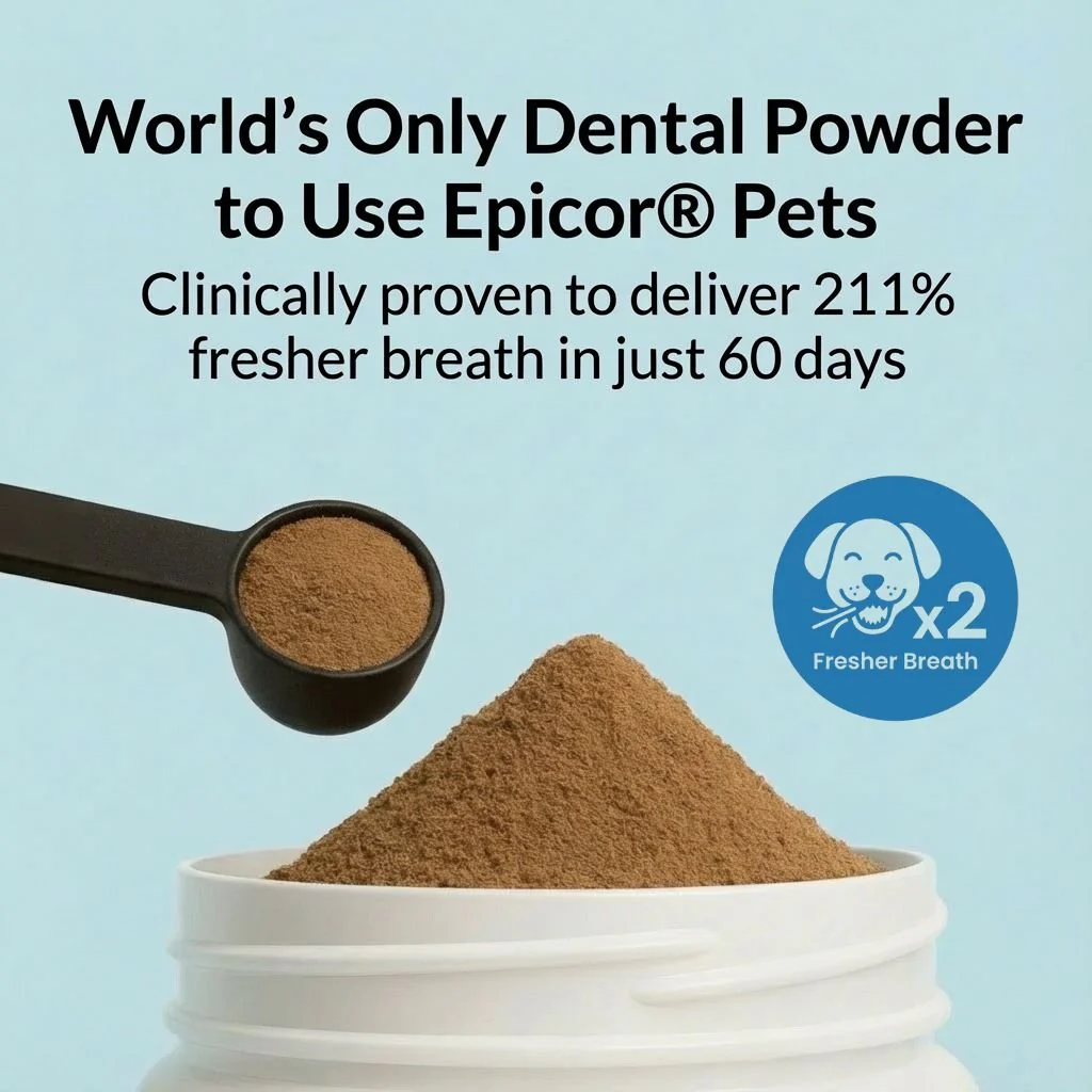 Dental Powder - Image 3
