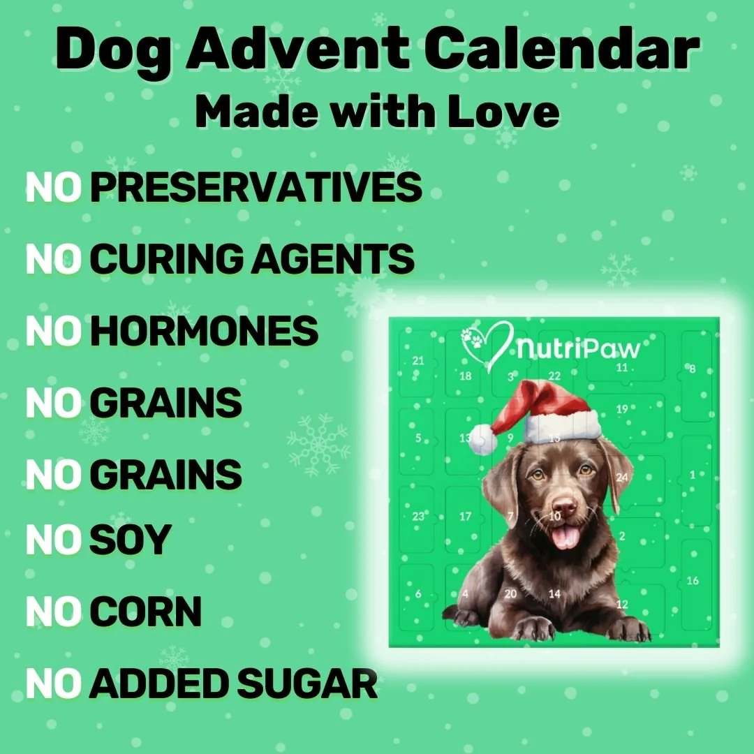 Dog Advent Calendar - Image 5