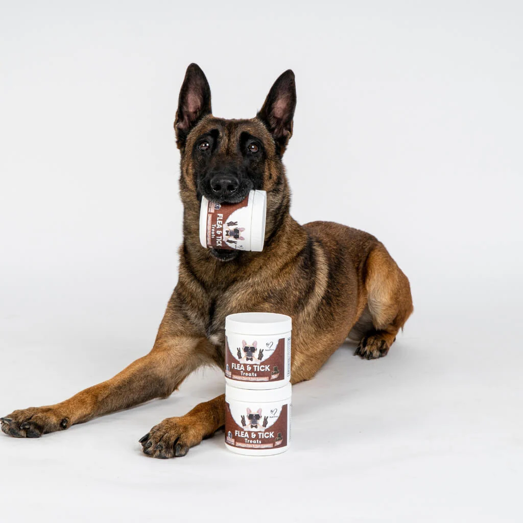 Flea & Tick Treats - Image 11