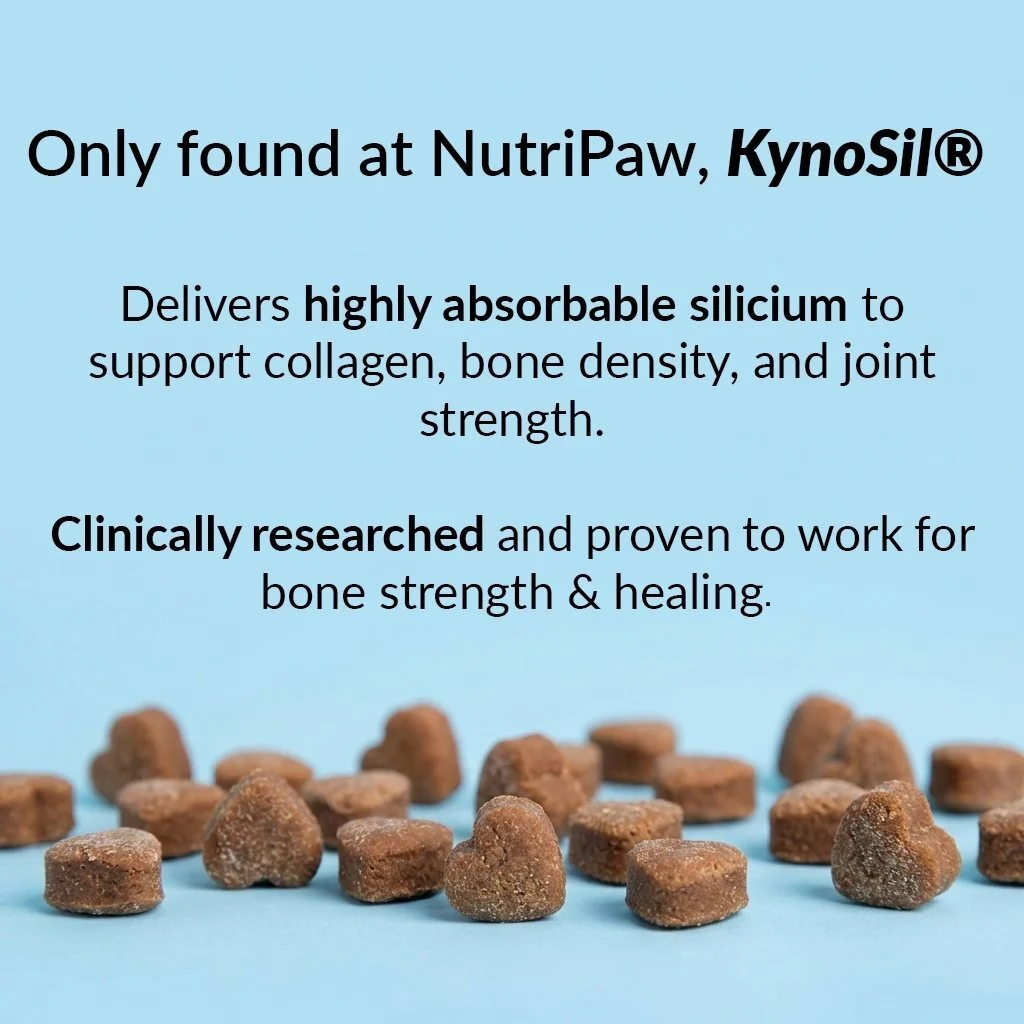 Hip & Joint Treats Plus - Image 9