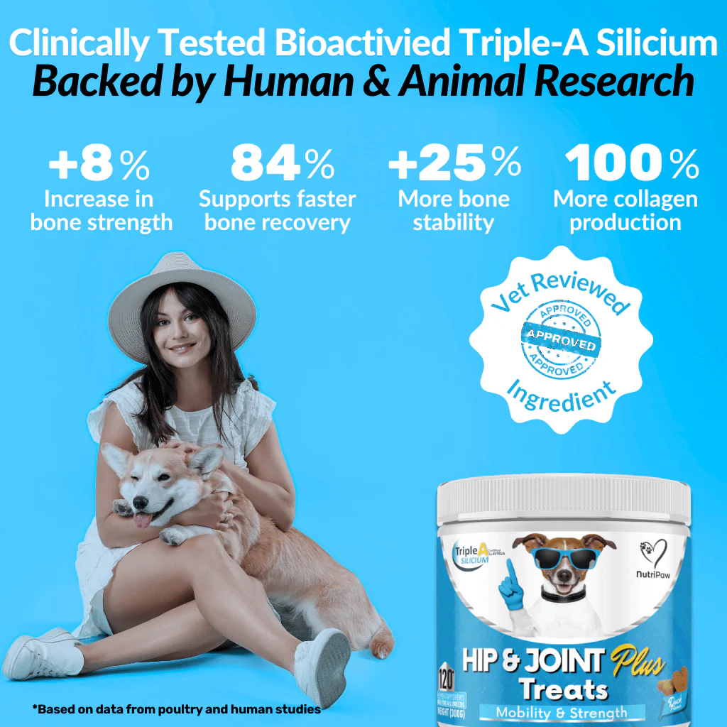 Hip & Joint Treats Plus BOGO - Image 2