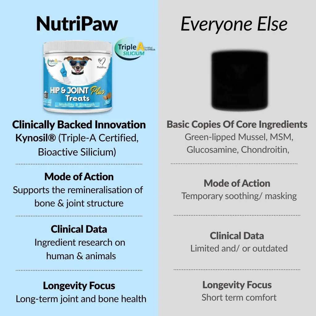 Hip & Joint Treats Plus BOGO - Image 3