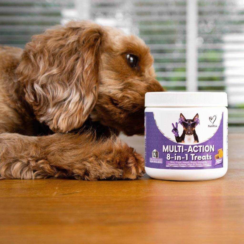 Itch & Wellness Kit - Image 8