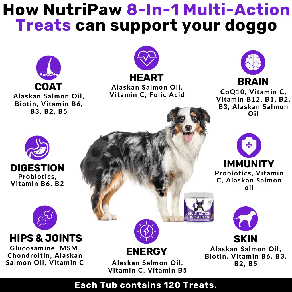 Itch & Wellness Kit - Image 9