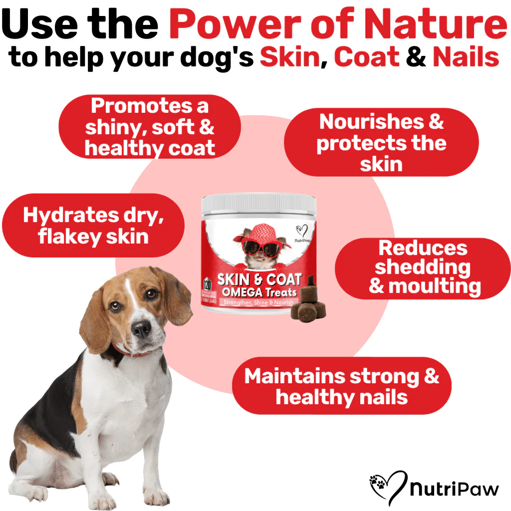 Nurture & Nourish Pack - Image 8