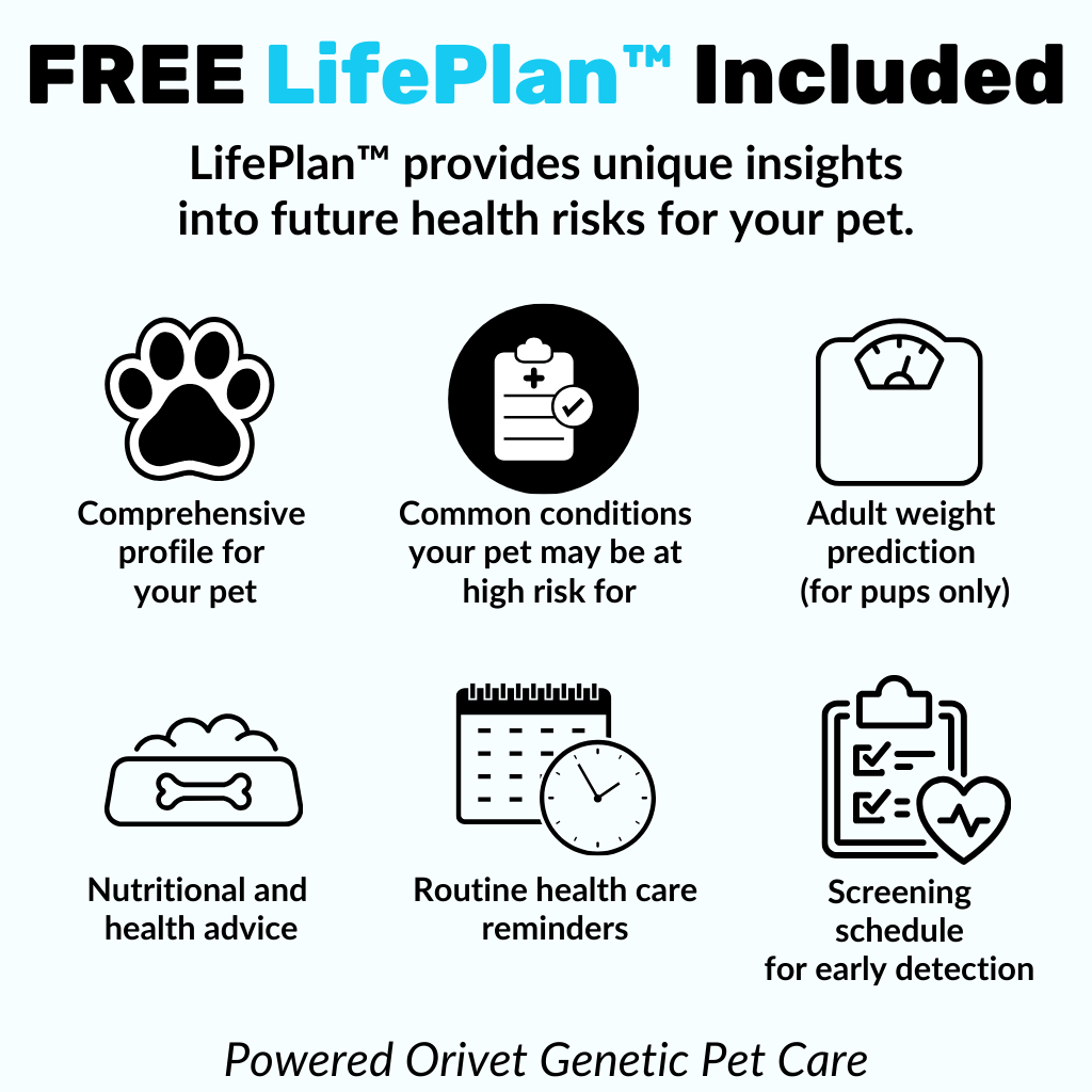 NutriPaw ID - Image 7