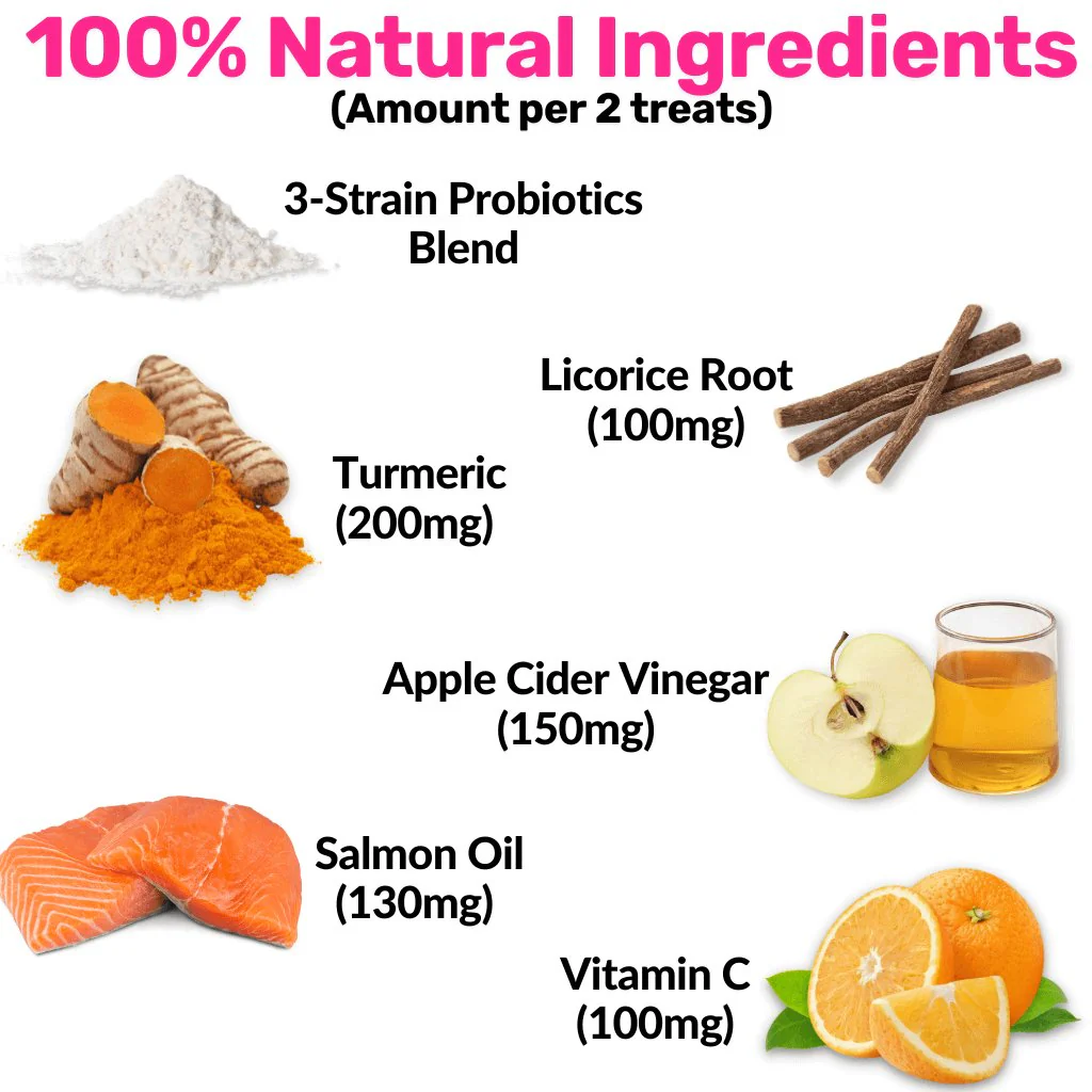 NutriPaw's #1 Kit - Image 4