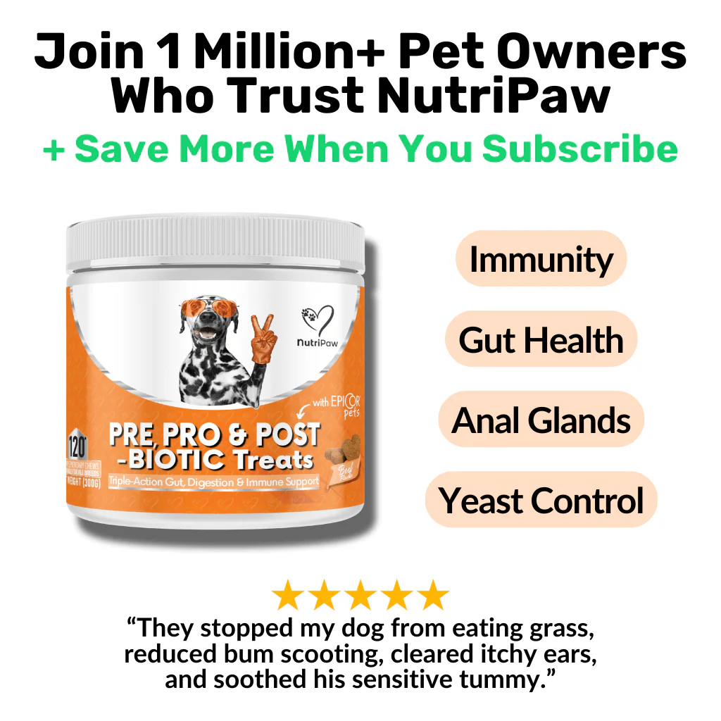 Pre, Pro & Postbiotic Digestive Treats - Image 12