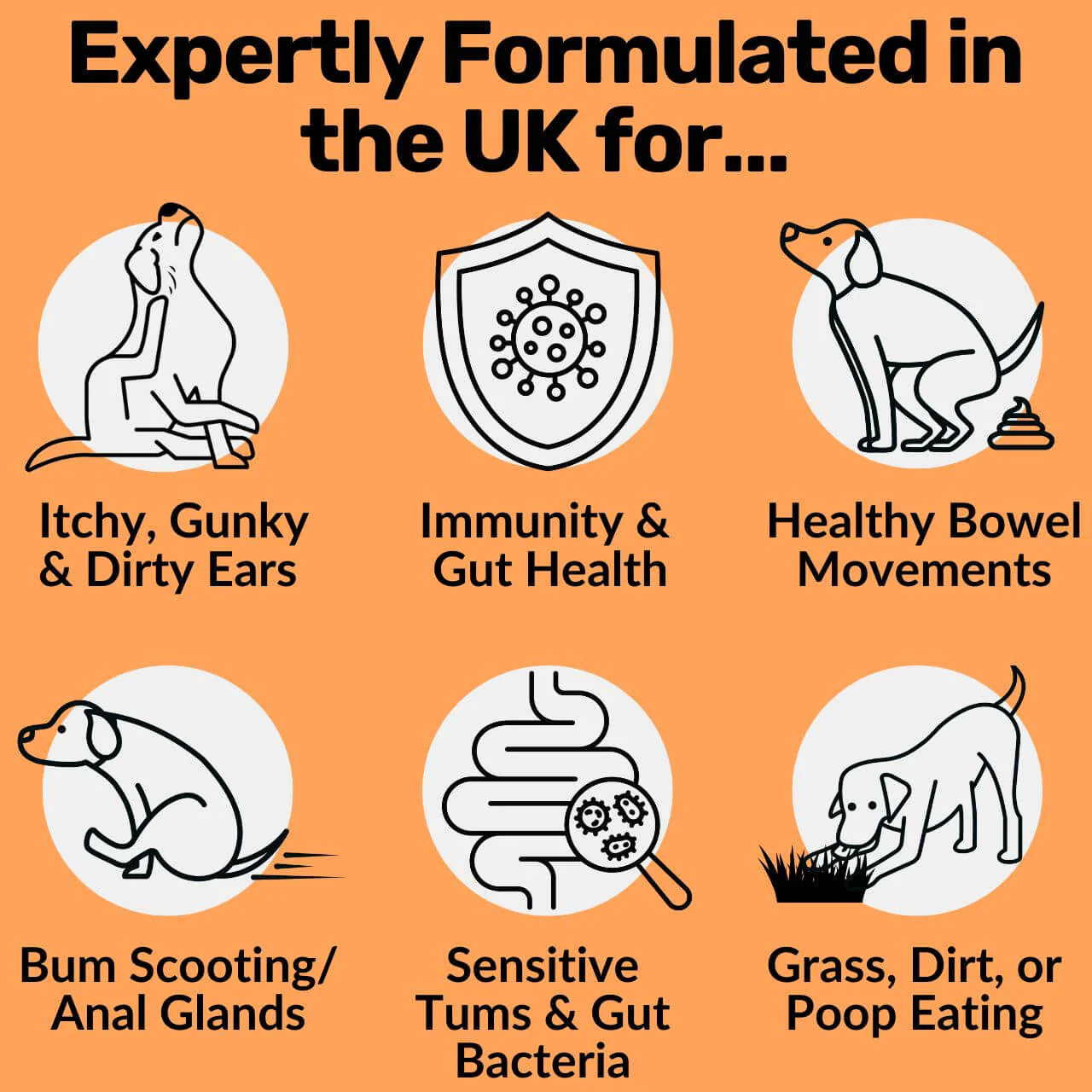 Pre, Pro & Postbiotic Digestive Treats - Image 2