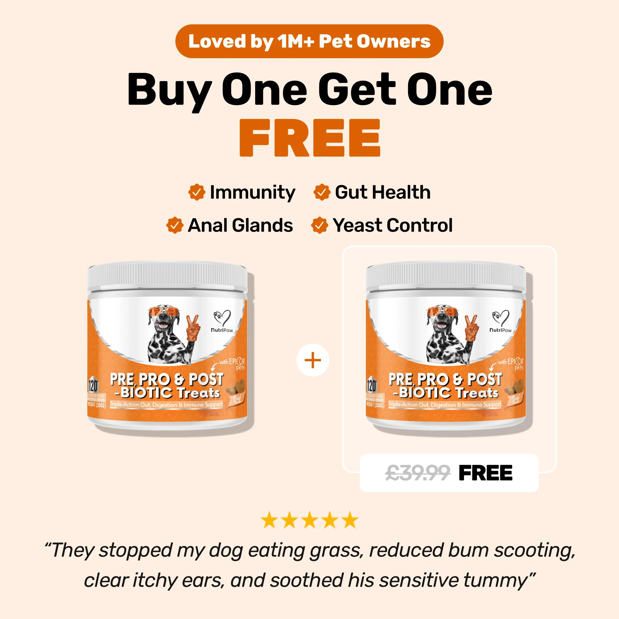 Pre, Pro & Postbiotic Digestive Treats BOGO - Image 12