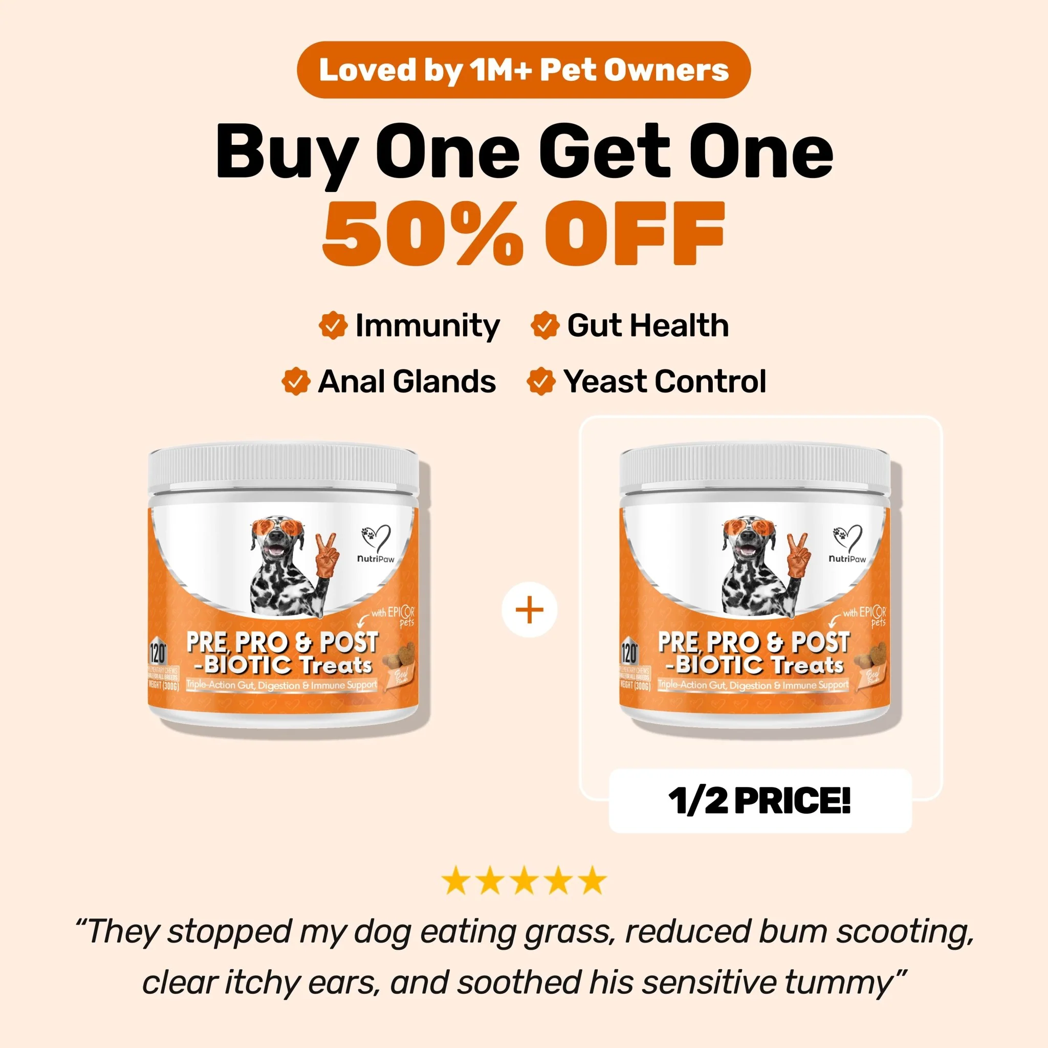 Pre, Pro & Postbiotic Digestive Treats BOGO - Image 12
