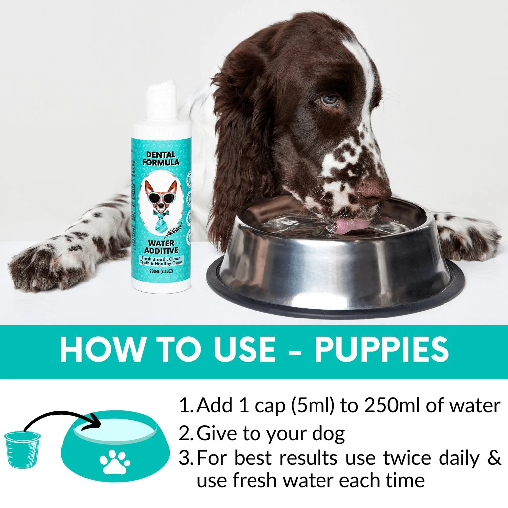 Proactive Wellness Pack - Image 12