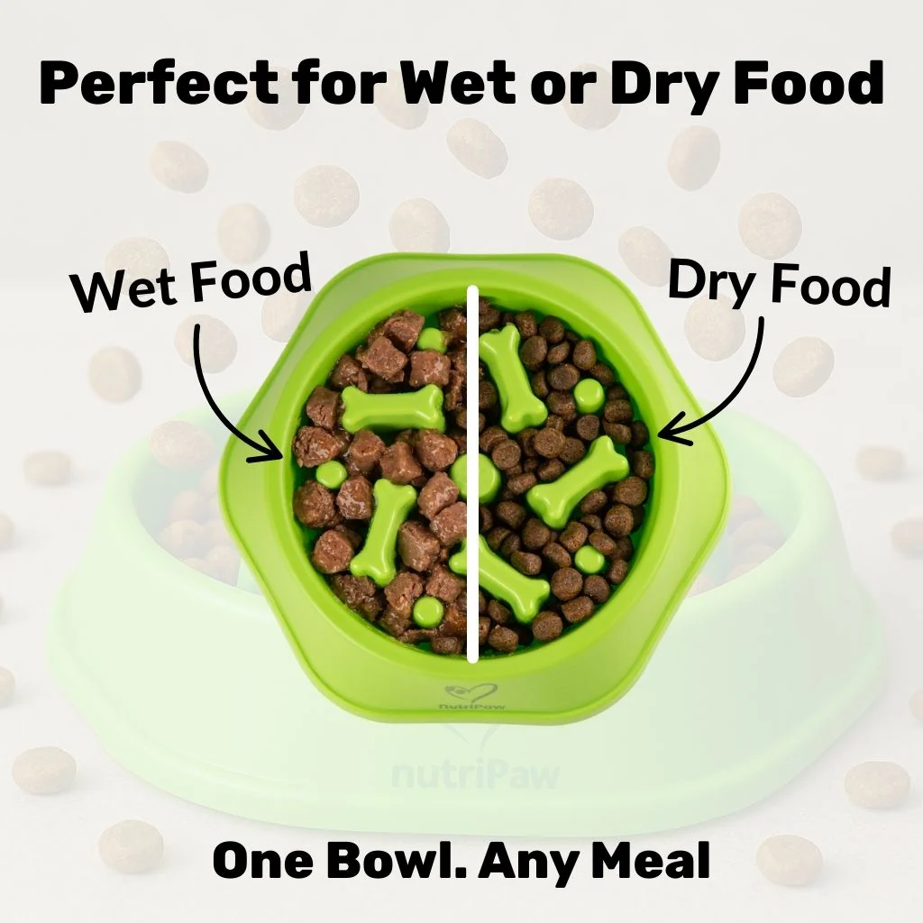 Slow Feeder Dog Bowl - Image 2