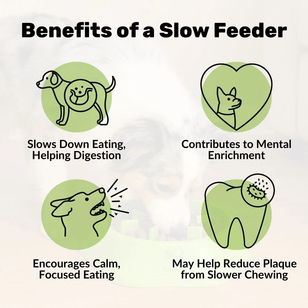 Slow Feeder Dog Bowl - Image 3