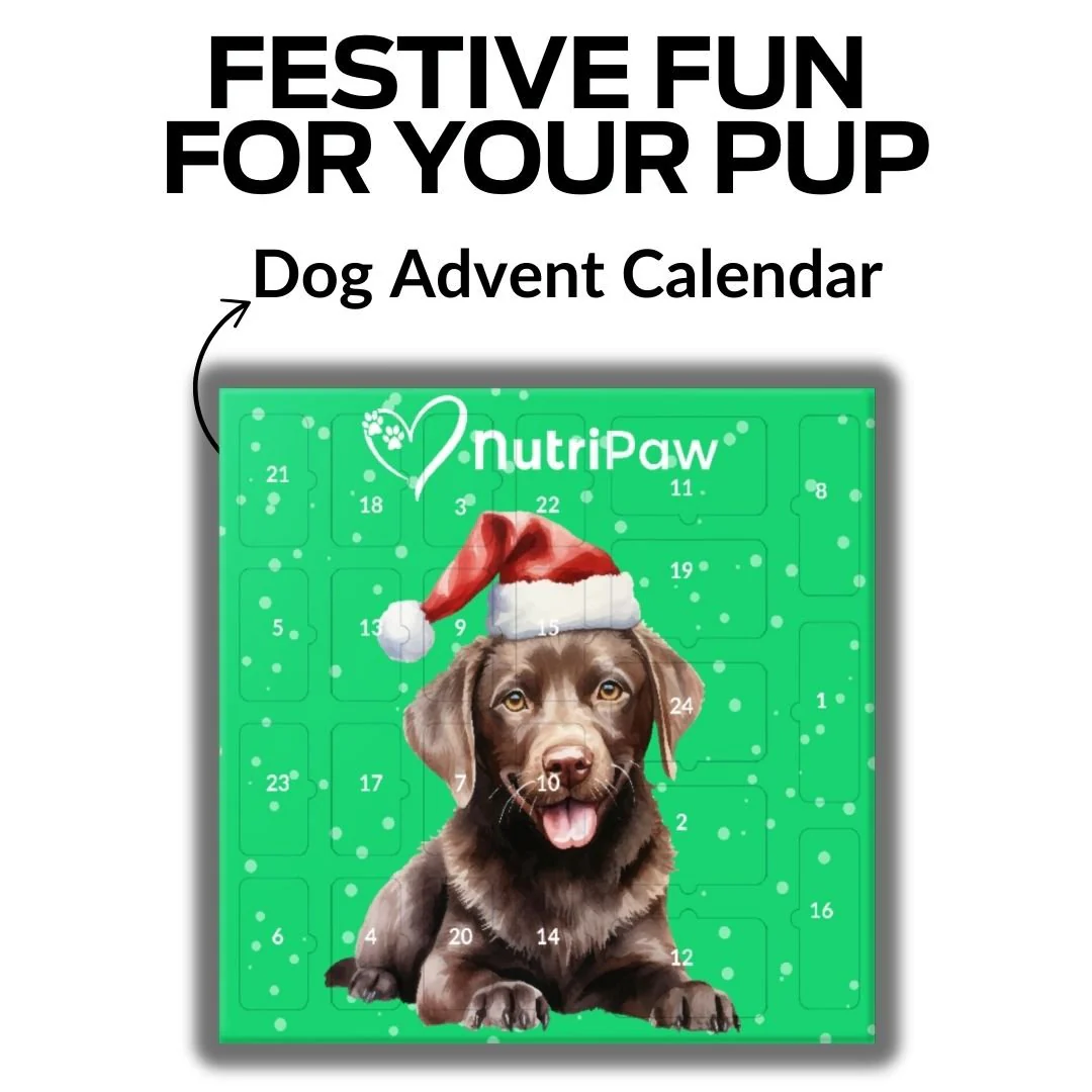 Holiday Treat Bundle - Image 4